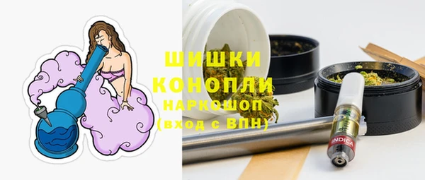индика Магадан