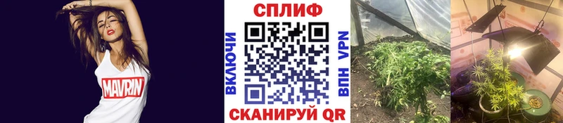 Канабис марихуана  где можно купить наркотик  Медвежьегорск 